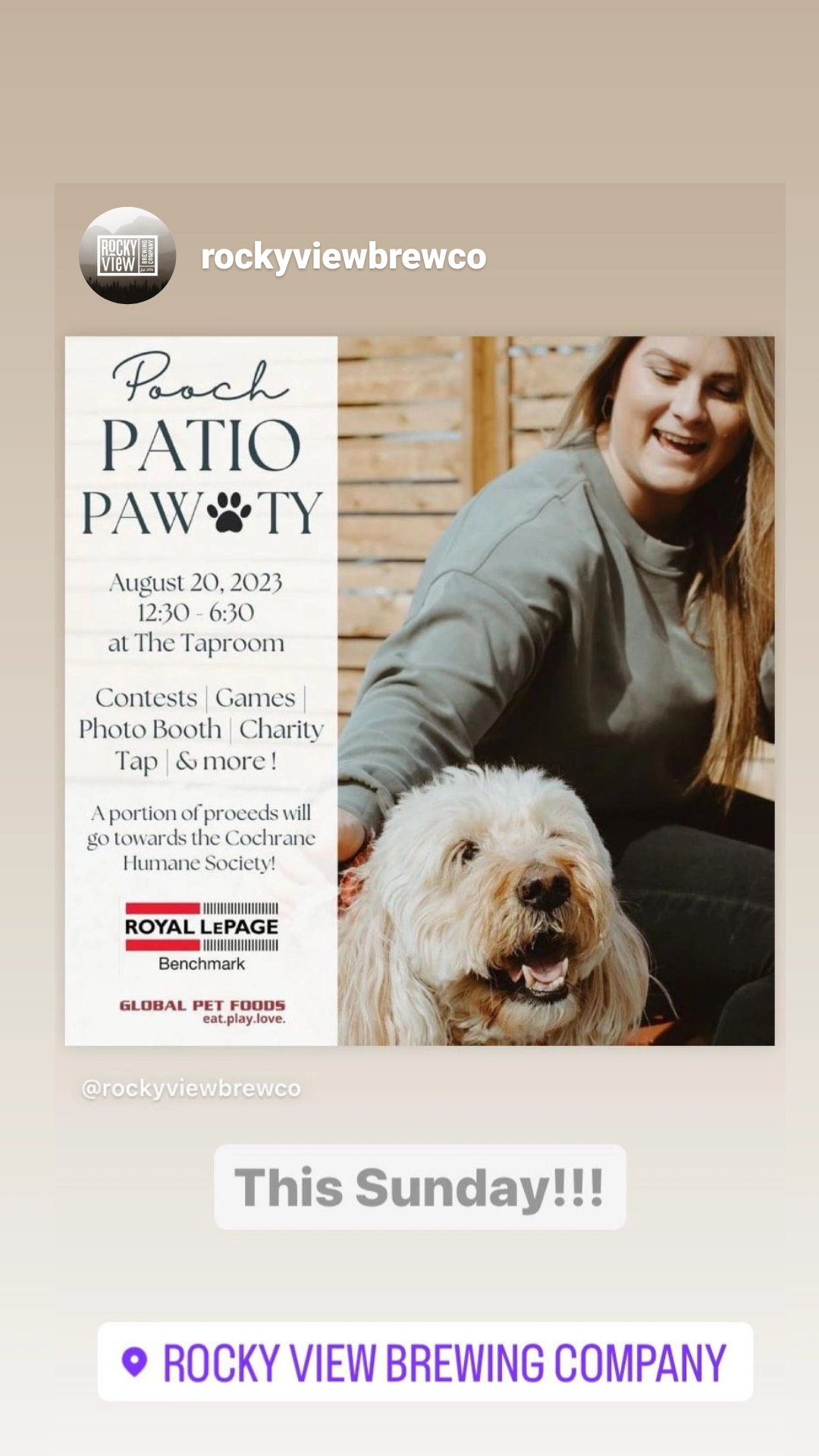 Pooch Patio Pawty at Rocky View Taproom • Urban Casual Cochrane